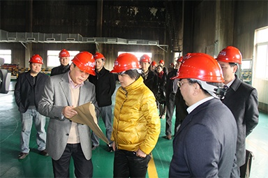 2012年1月31日，時(shí)任嘉興市委書(shū)記魯俊率領(lǐng)市發(fā)改委等市級(jí)部門負(fù)責(zé)人到公司調(diào)研