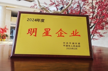 新春新景新氣象 | 景興紙業(yè)在平湖三干大會上喜摘榮譽！